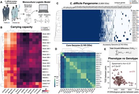 Elucidating human gut microbiota interactions that robustly.